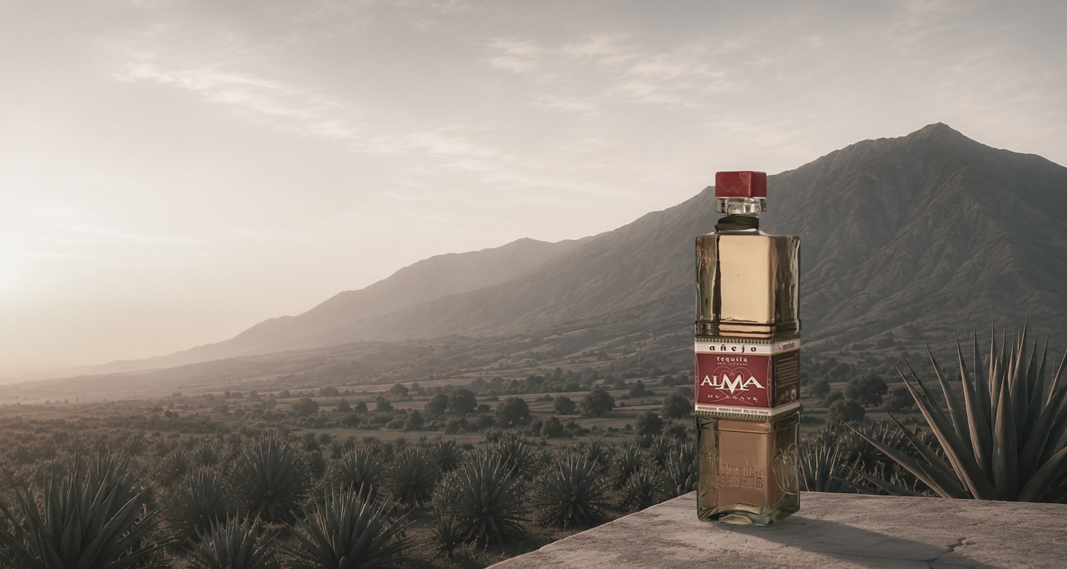 Alma De Agave Tequila Australia