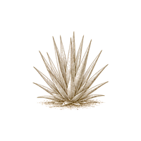 100% Blue Weber Agave